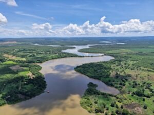 Governo do Tocantins realiza primeiro monitoramento aéreo de arraias-maçã nos rios Tocantins e Araguaia