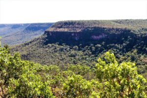 Tocantins promove workshop sobre mudança do clima e mercados de carbono para qualificar profissionais que atuam no Programa REDD+ Jurisdicional do Tocantins