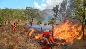 Com plano de combate estratégico, Tocantins registra queda de 28,7% na área queimada